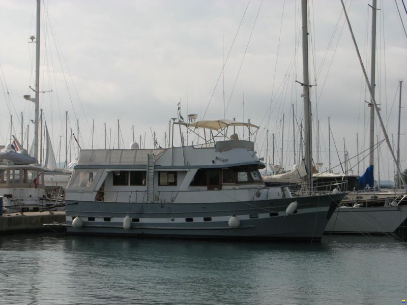 Blue Ocean 50