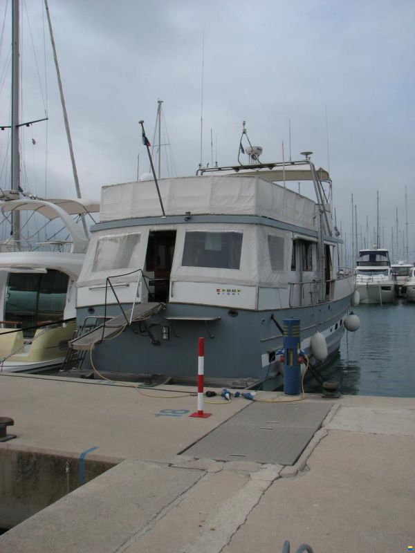 Blue Ocean 50