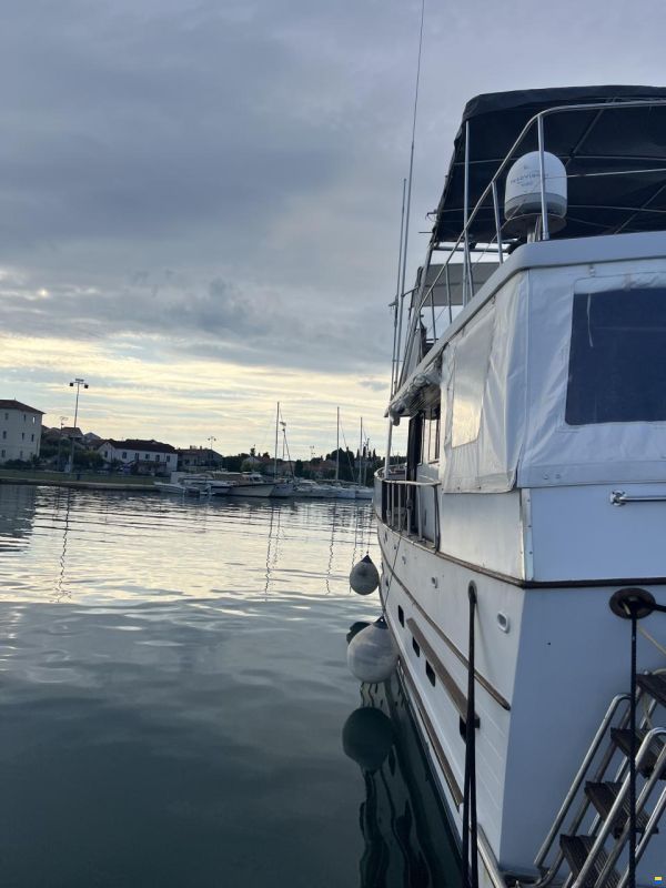 Blue Ocean 50