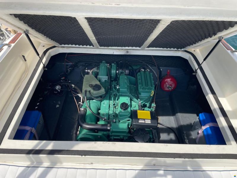 Airon Marine 22 Fish