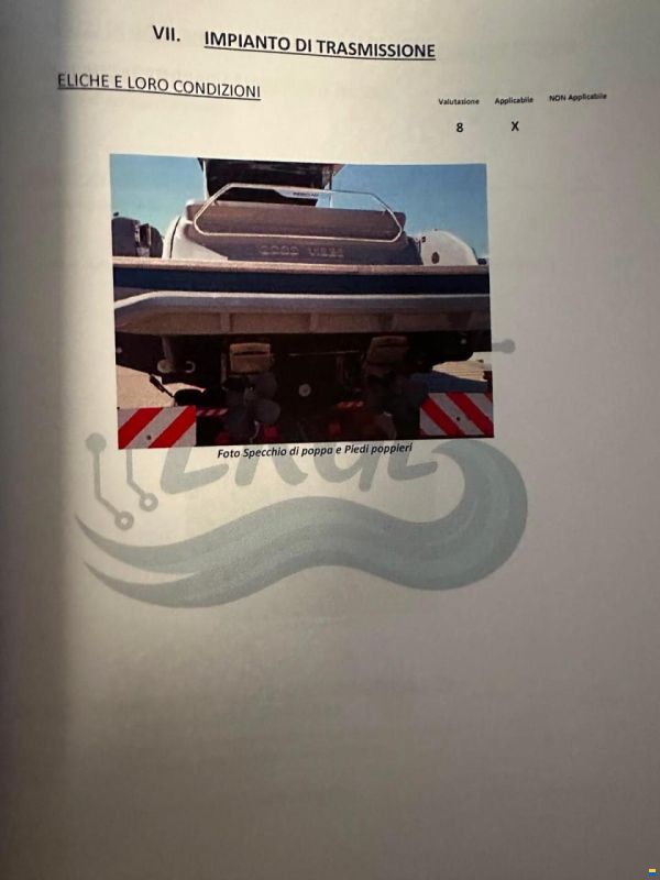 Sacs Rebel 47