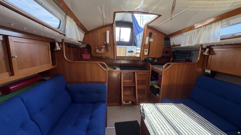 LM Mermaid 290