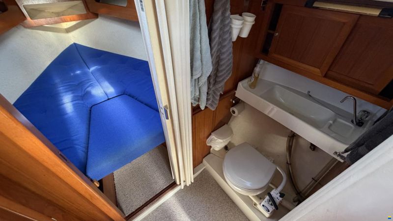 LM Mermaid 290