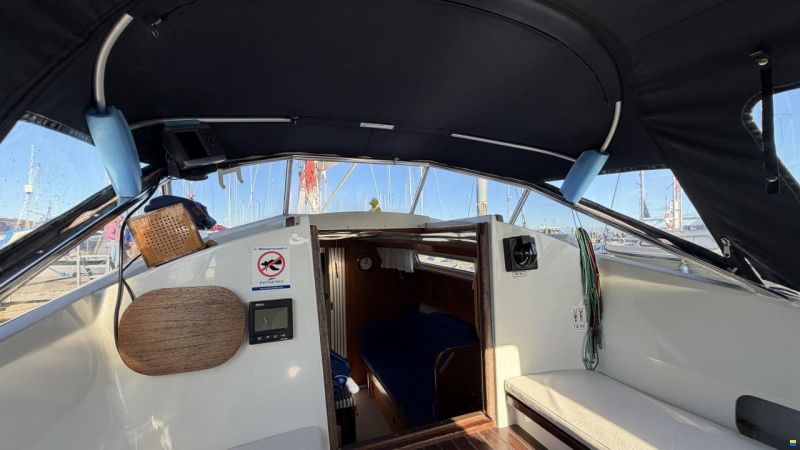 LM Mermaid 290