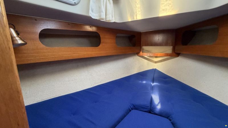 LM Mermaid 290