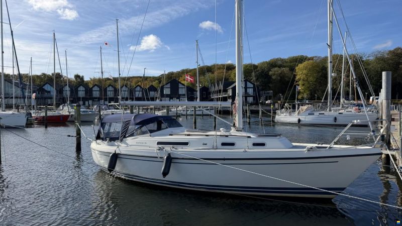 LM Mermaid 290