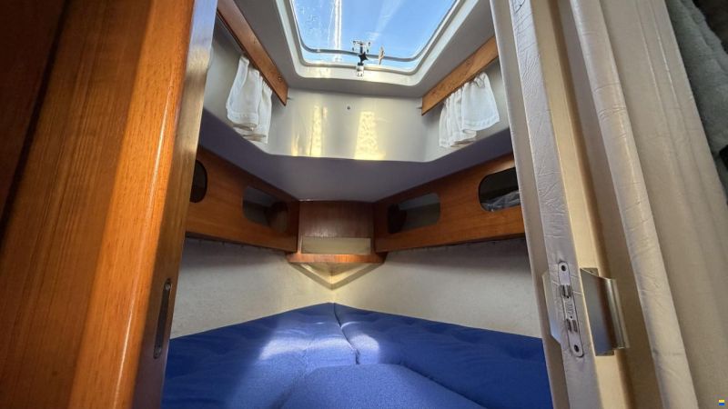 LM Mermaid 290