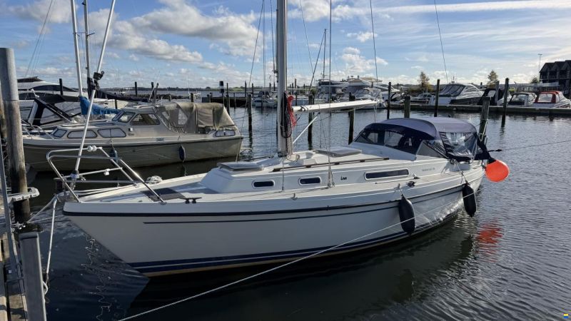 LM Mermaid 290