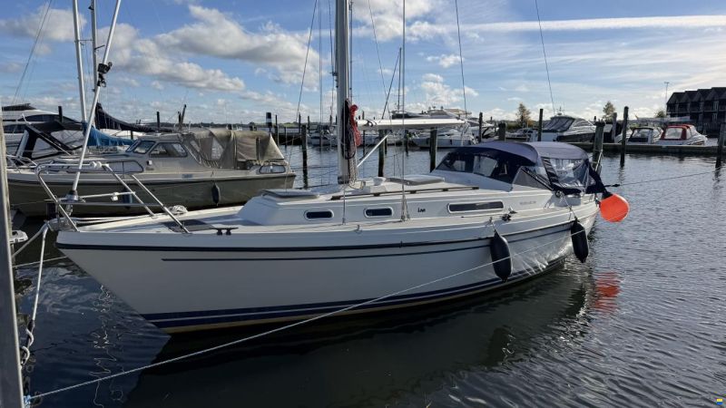 LM Mermaid 290