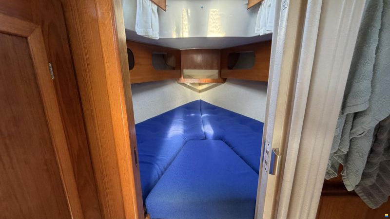 LM Mermaid 290