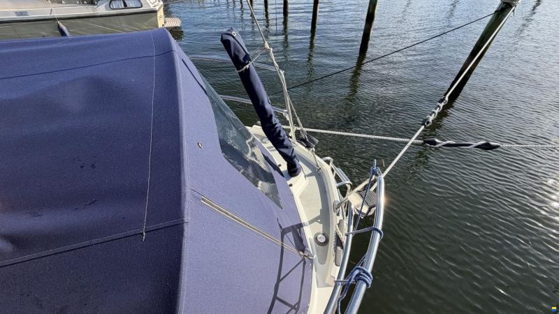 LM Mermaid 290