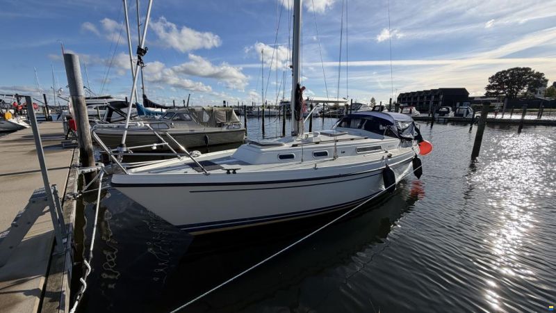 LM Mermaid 290