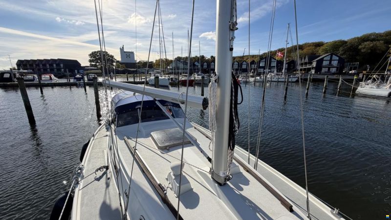 LM Mermaid 290