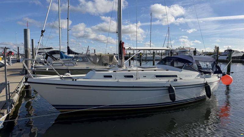 LM Mermaid 290