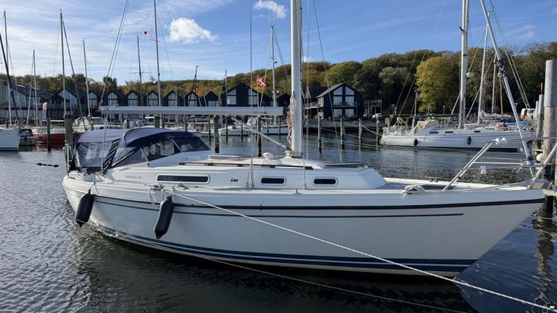 LM Mermaid 290