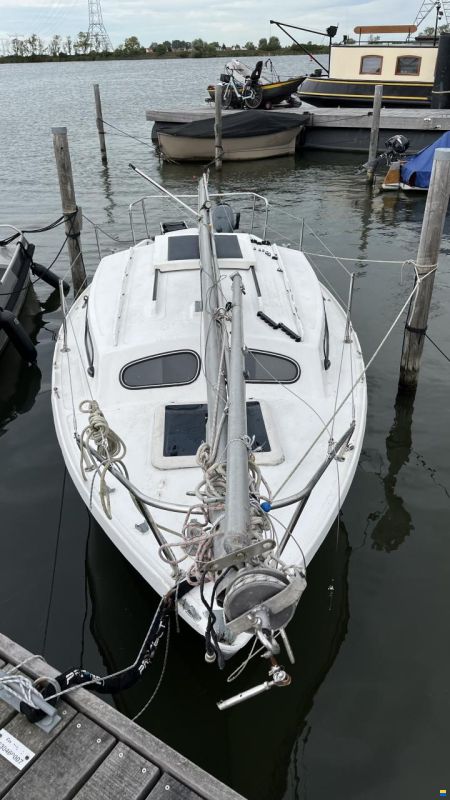 Hurley 20