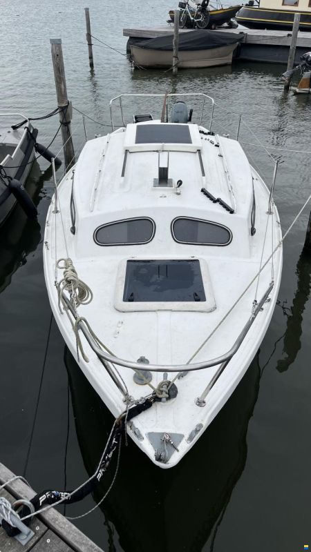 Hurley 20