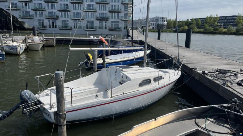 Hurley 20
