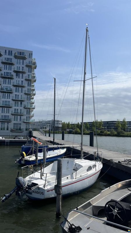 Hurley 20