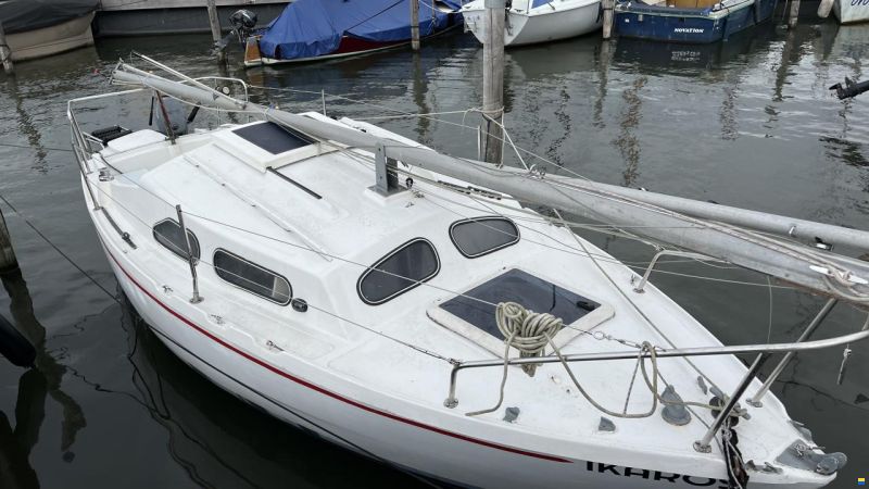 Hurley 20