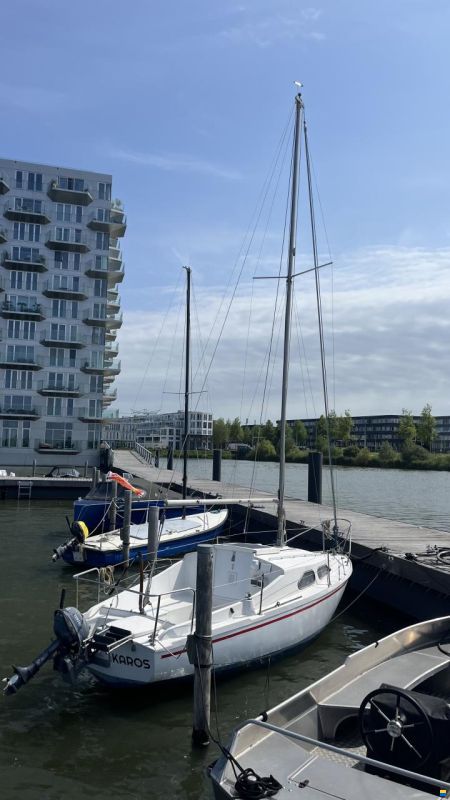 Hurley 20