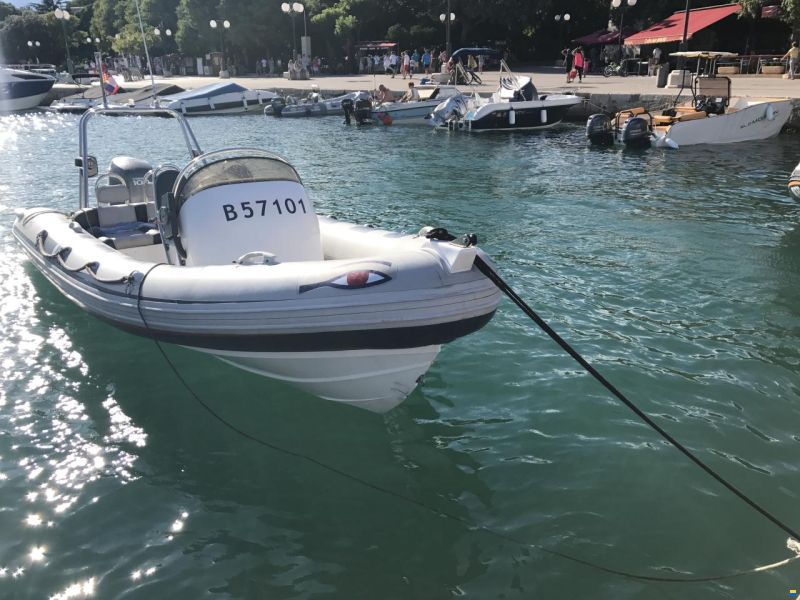 Ribeye 550 Playtime