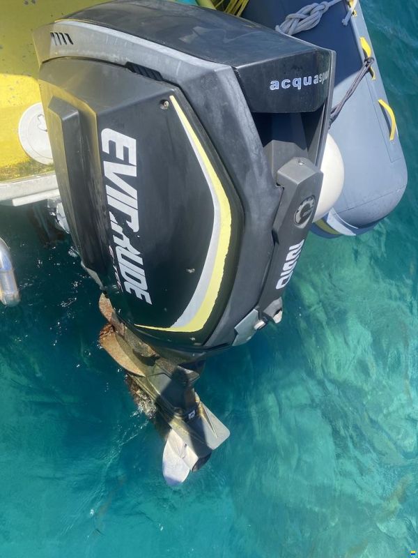 EVINRUDE E-TEC G2 250 CV – GAMBO XXL