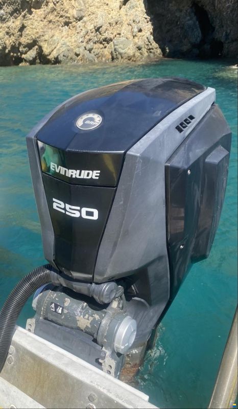 EVINRUDE E-TEC G2 250 CV – GAMBO XXL