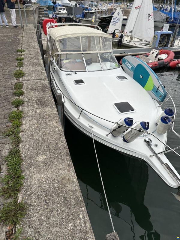 Rinker Fiesta Fee 280