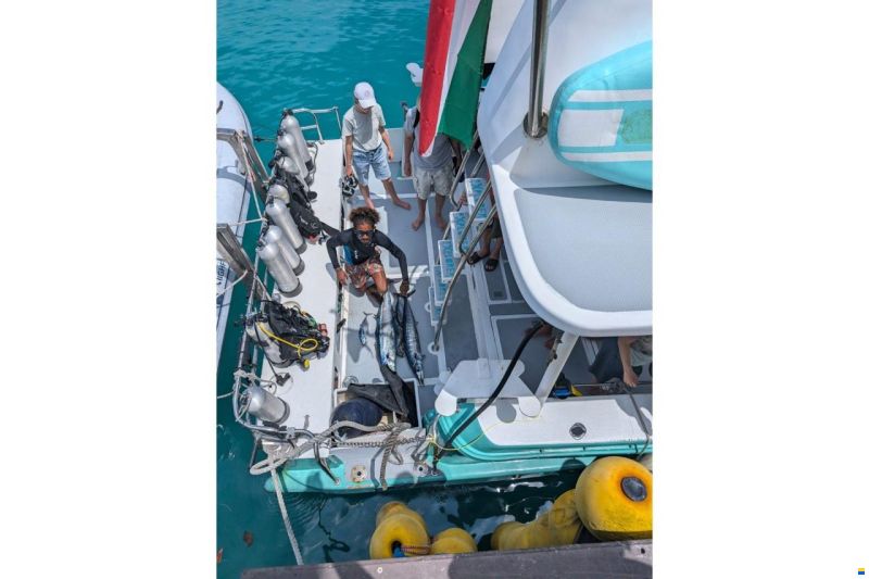 Custom Built Conde Catamarans