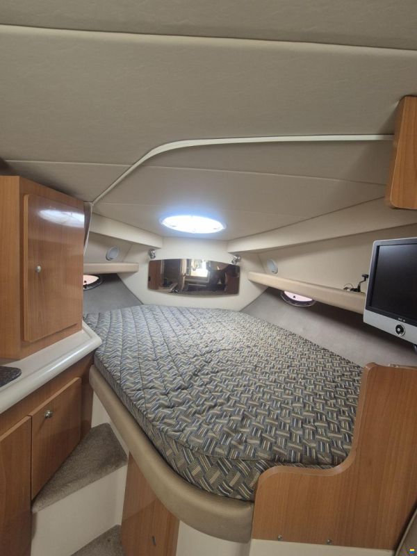 Cruisers 300 CXi