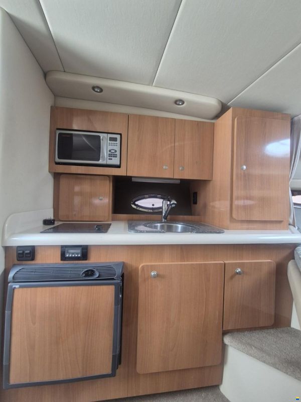 Cruisers 300 CXi