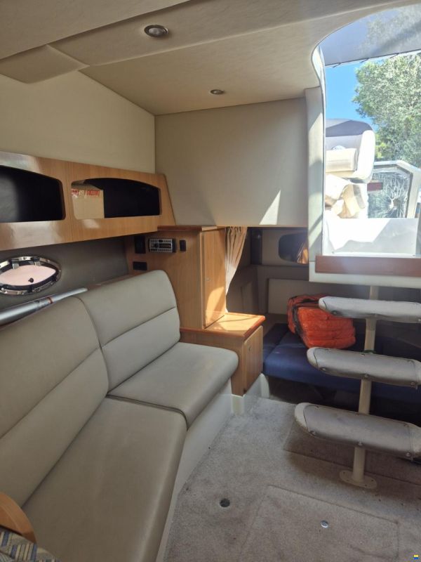 Cruisers 300 CXi