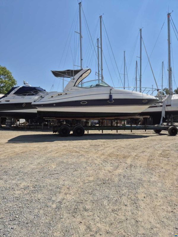 Cruisers 300 CXi