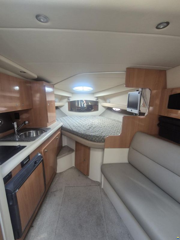 Cruisers 300 CXi