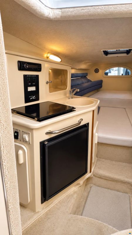 Sea Ray Sundancer 24