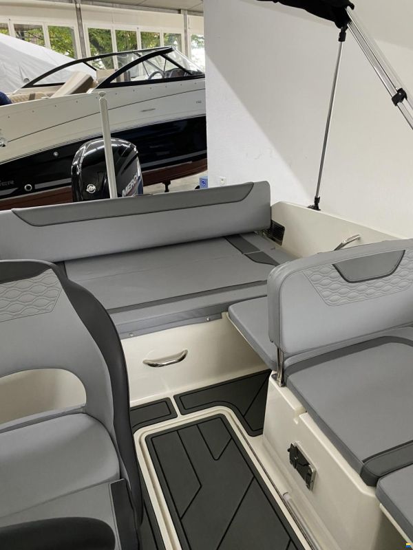 Bayliner M19