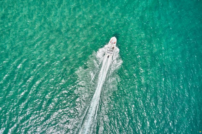 Bayliner M19