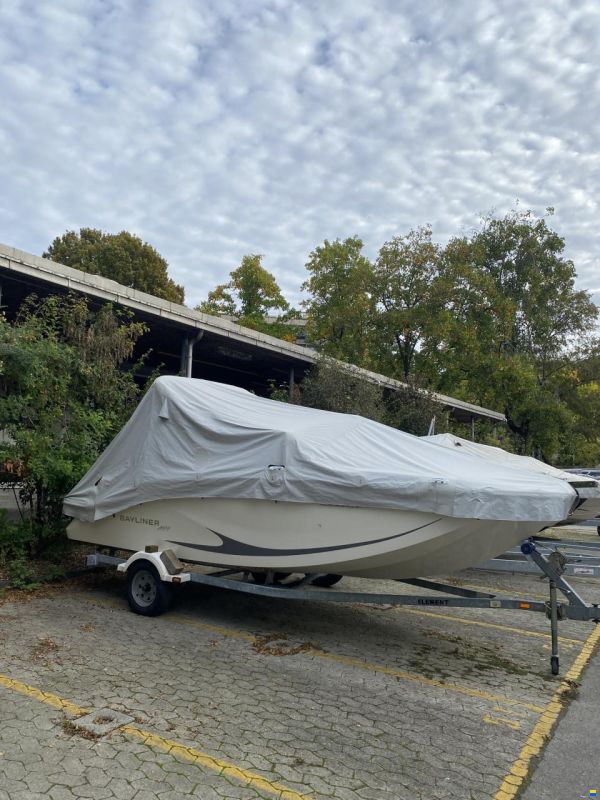 Bayliner M19