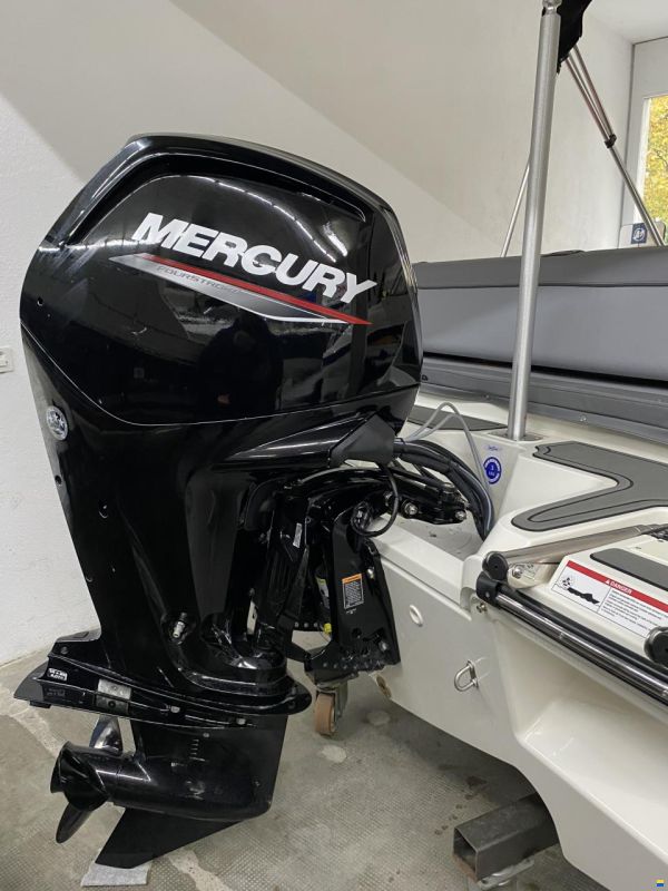 Bayliner M19