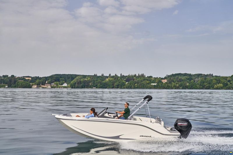 Bayliner M19