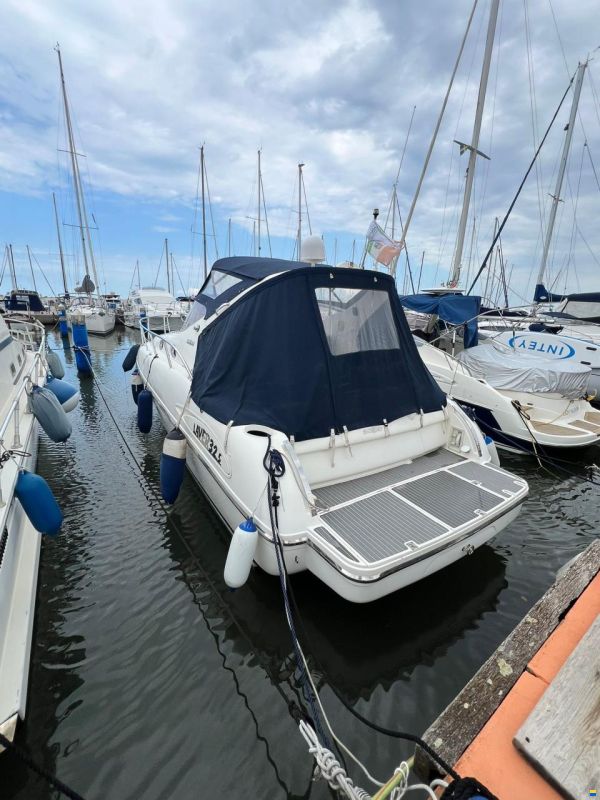 Salpa Laver 32.5