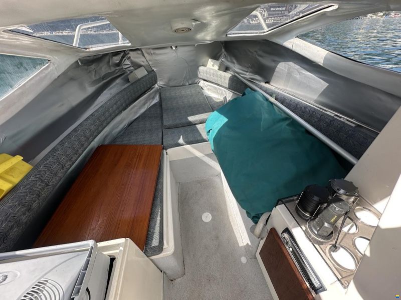 Rio 600 Cabin
