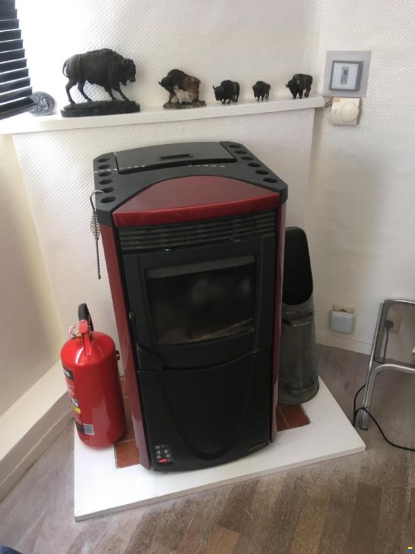 Platbodem