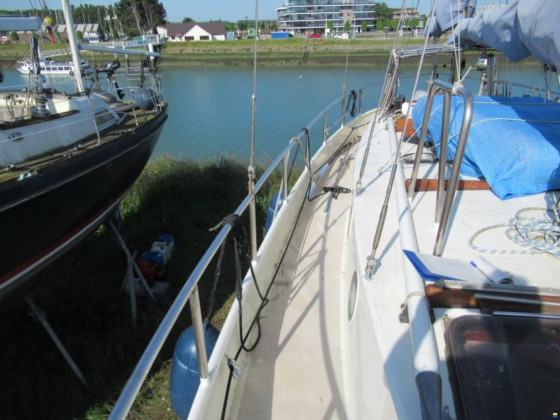 Doggersbank 401