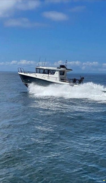 Sargo Explorer 31