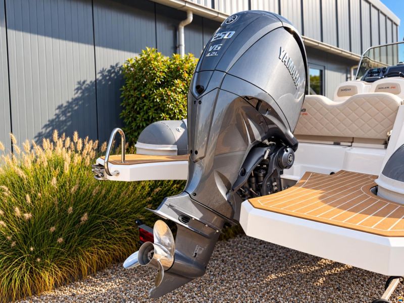 Salpa Soleil 26