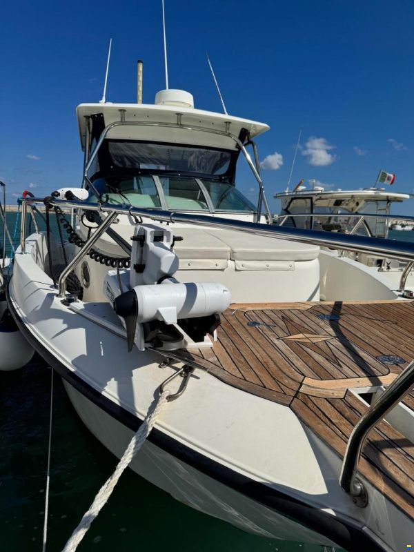 NorthStar Marine 320 WA