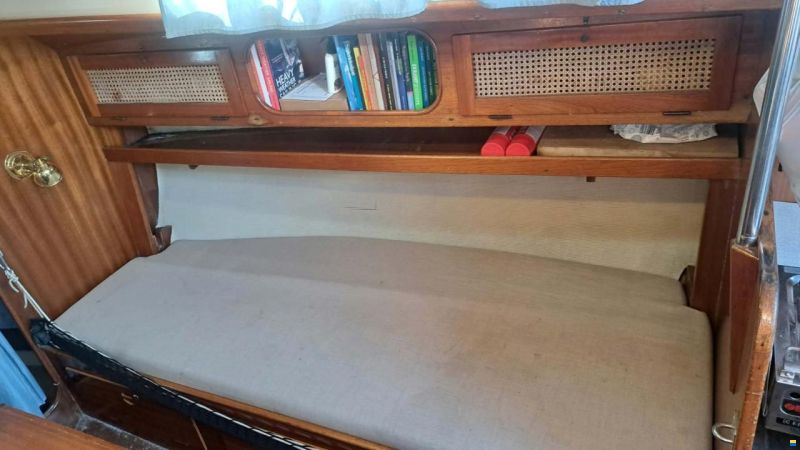 Bianca Commander 31