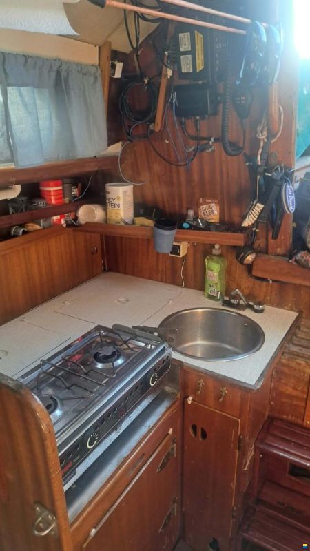 Bianca Commander 31